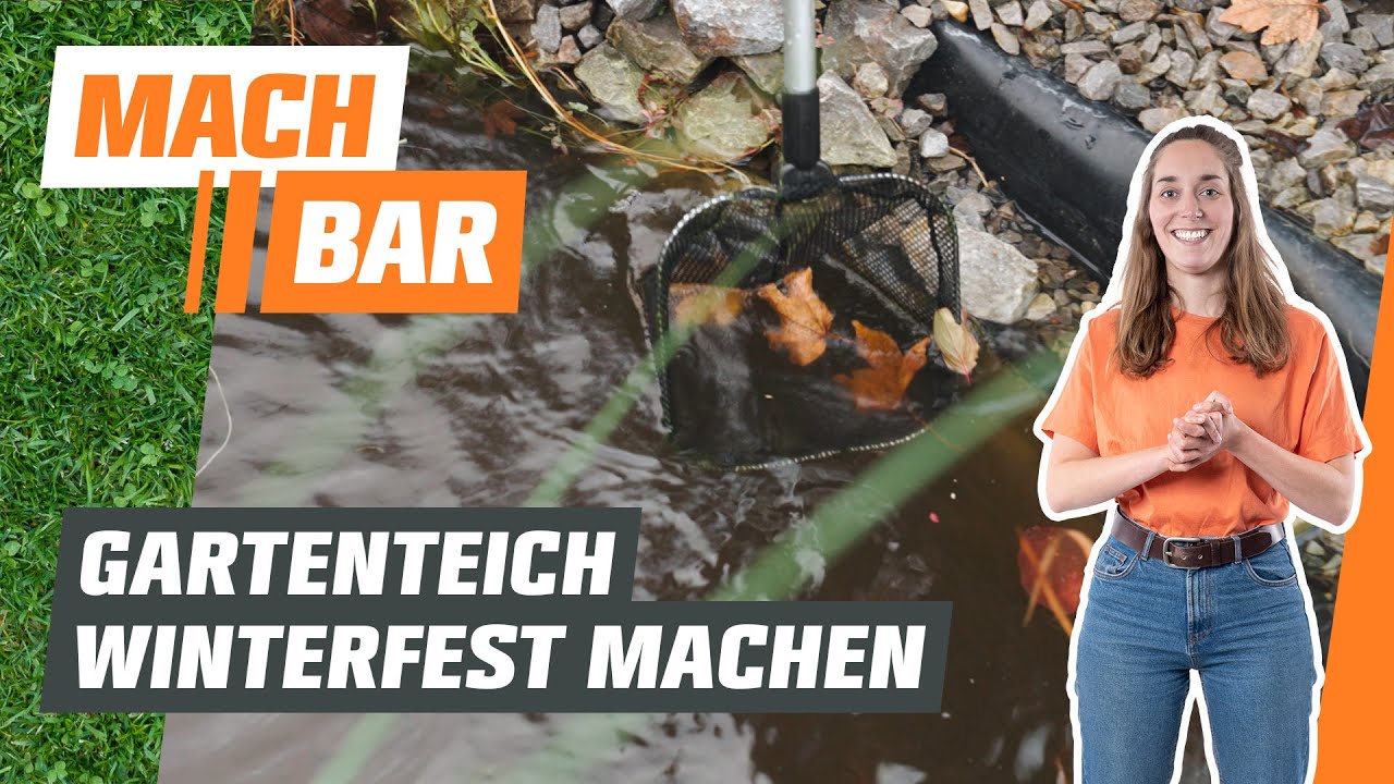 Teich winterfest machen – so schickst du deinen Teich in den Winterschlaf | OBI