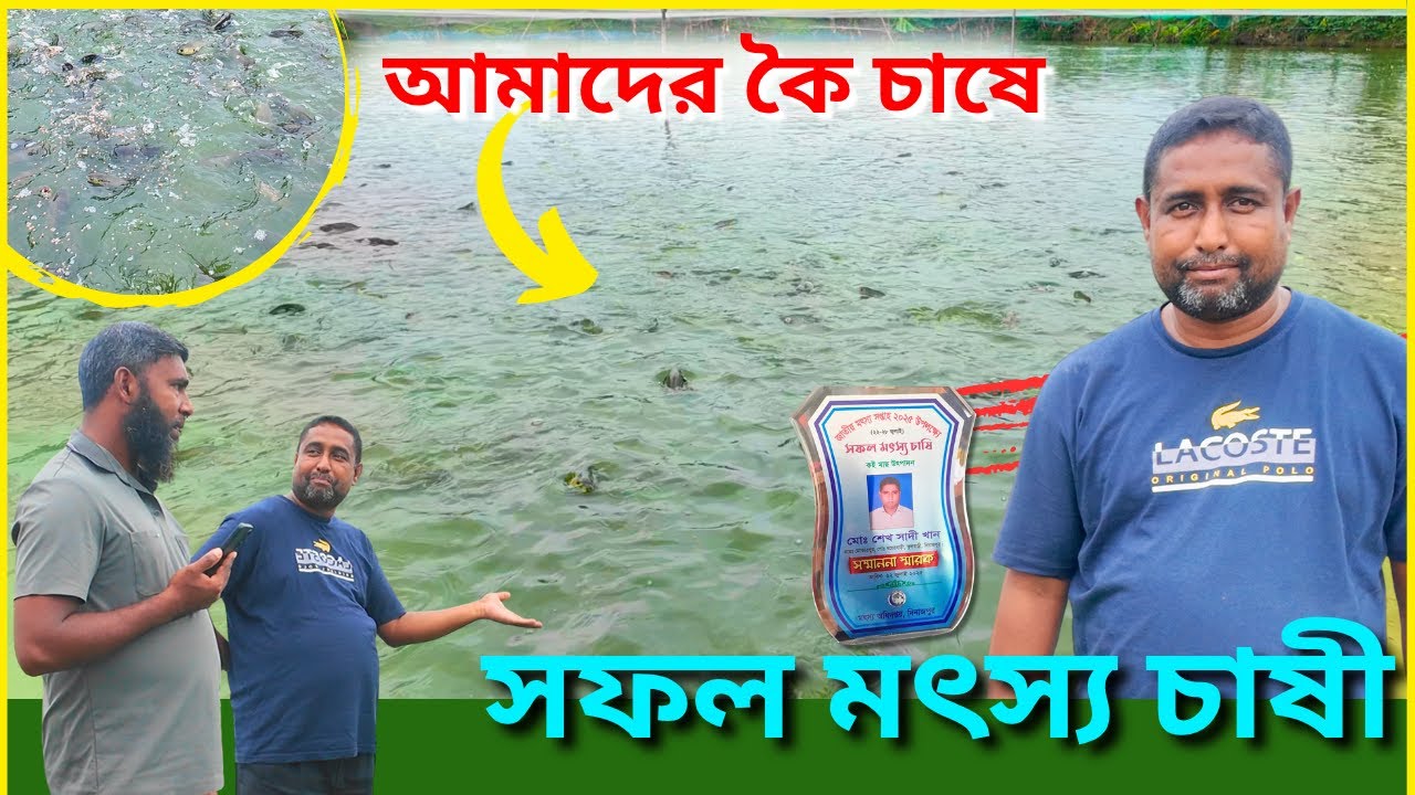 আমাদের কৈ চাষে সফল মৎস্য চাষী । সহজ পদ্ধতিতে মাছ চাষ । রুবেল ।