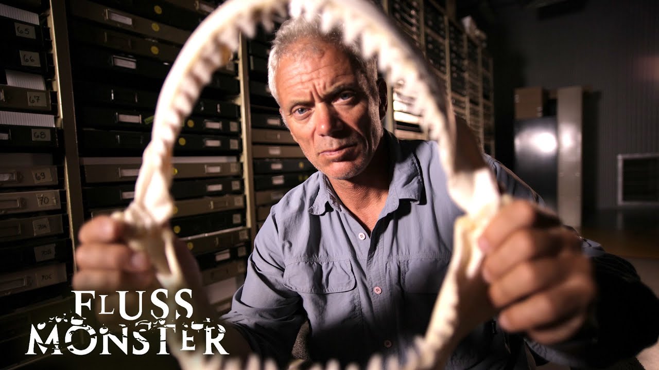 Der australische Flusshai: Vom Aussterben bedrohtes Mysterium | S4 E05 | Fluss Monsters
