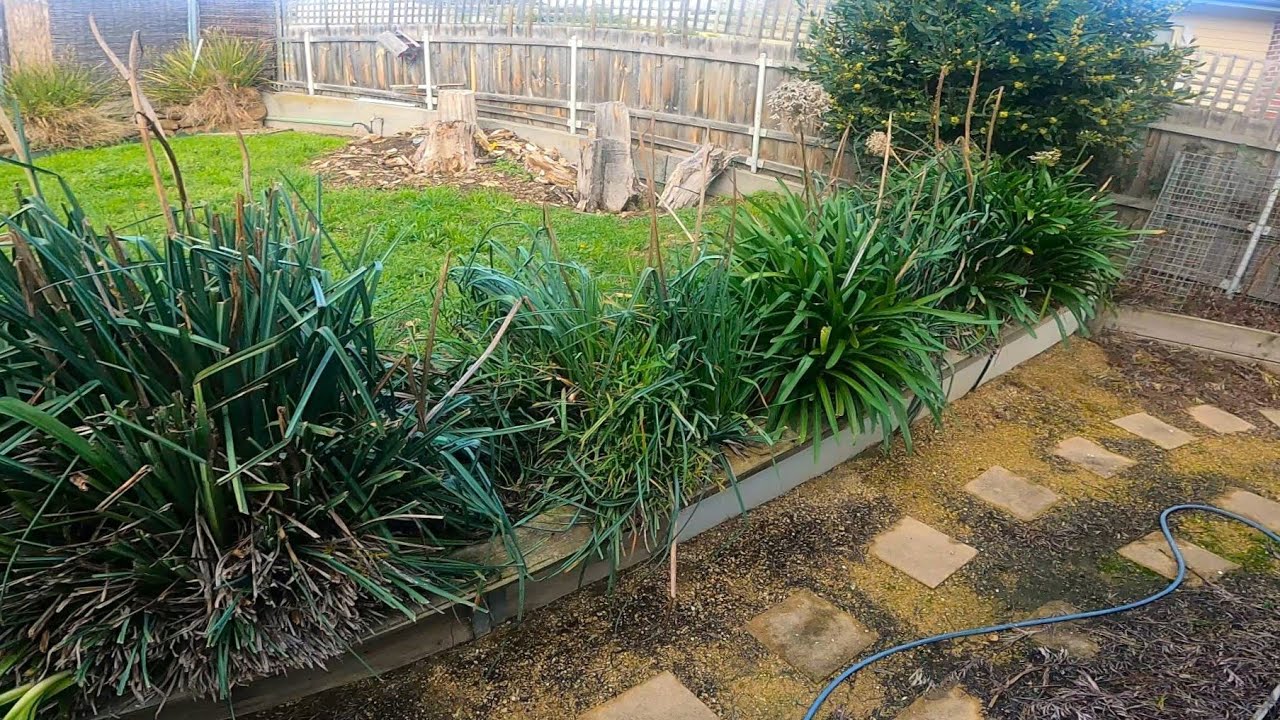 NEGLECTED Yard Gets YEARLY Makeover | Satisfying TRANSFORMATION