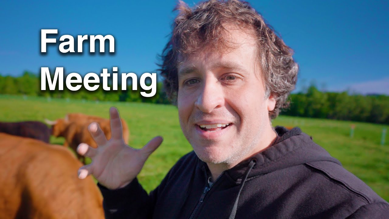 Cattle on Pasture, Goslings, and Big Decisions: June Farm Meeting