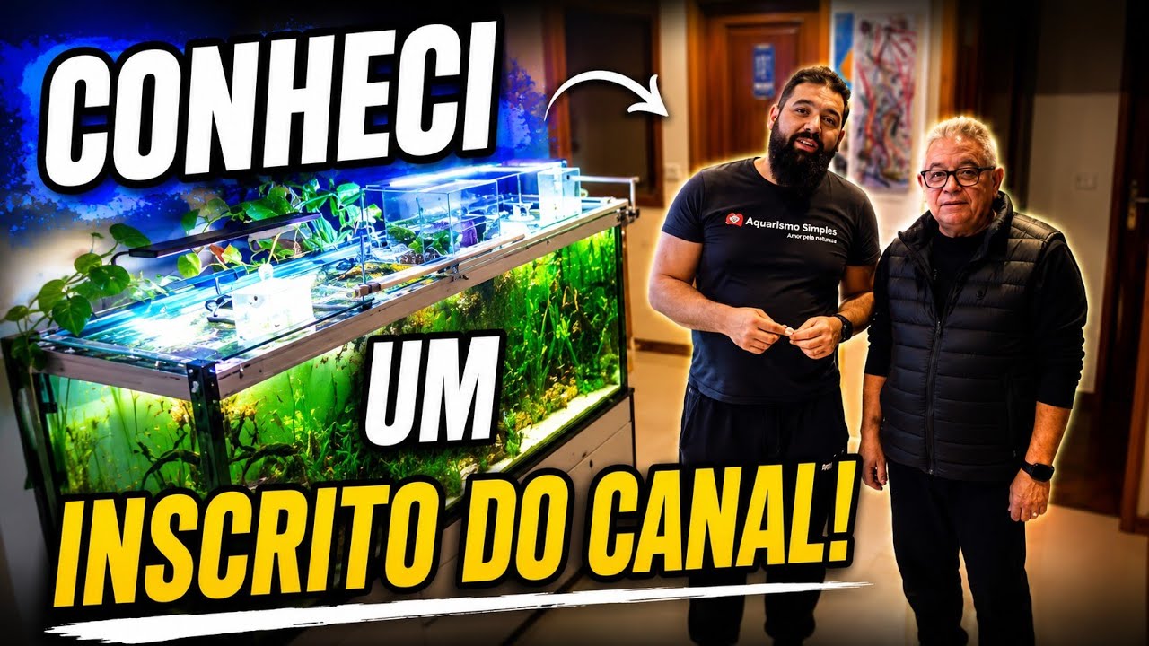 FUI CONHECER OS AQUÁRIOS DE UM INSCRITO NO CANAL AQUARIOFILIA