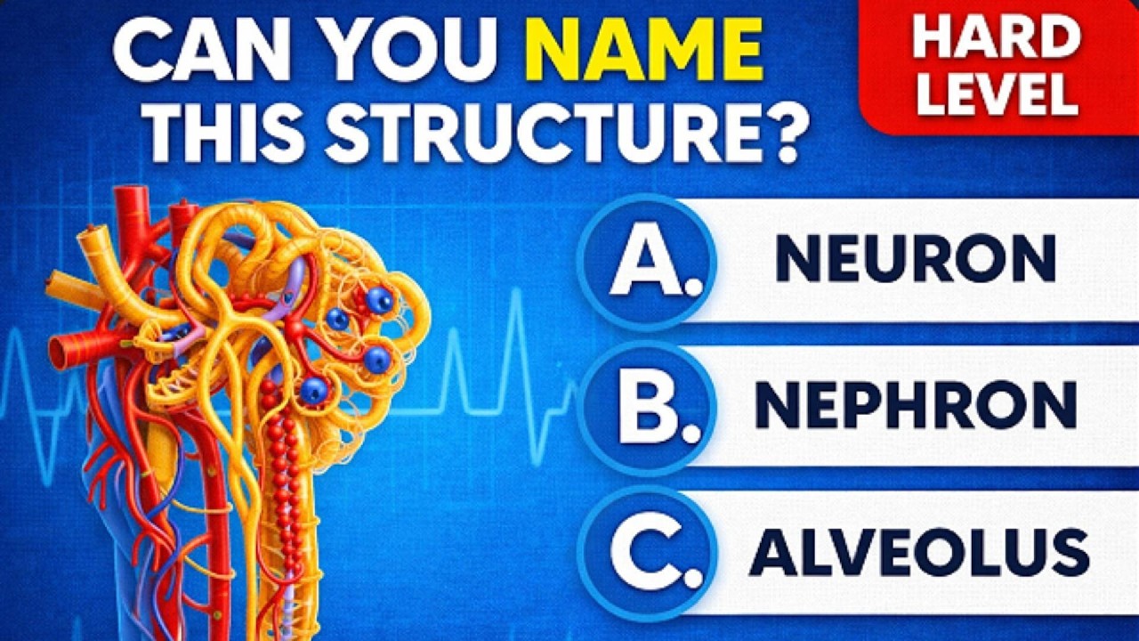 Human Body Quiz – HARD Level 🧠 | Can You Name This Organ? (20 Questions)
