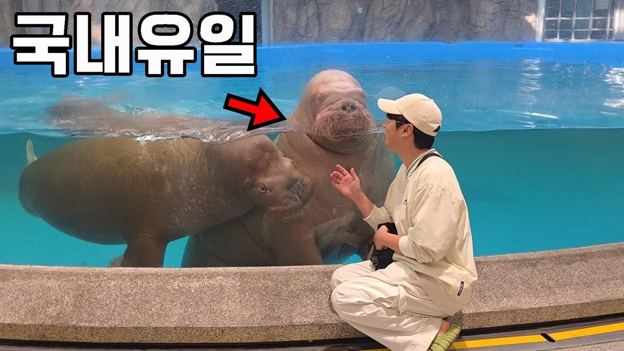 유리 너머에서 보던 그 녀석&hellip; 직접 들어갔더니만..대반전입니다