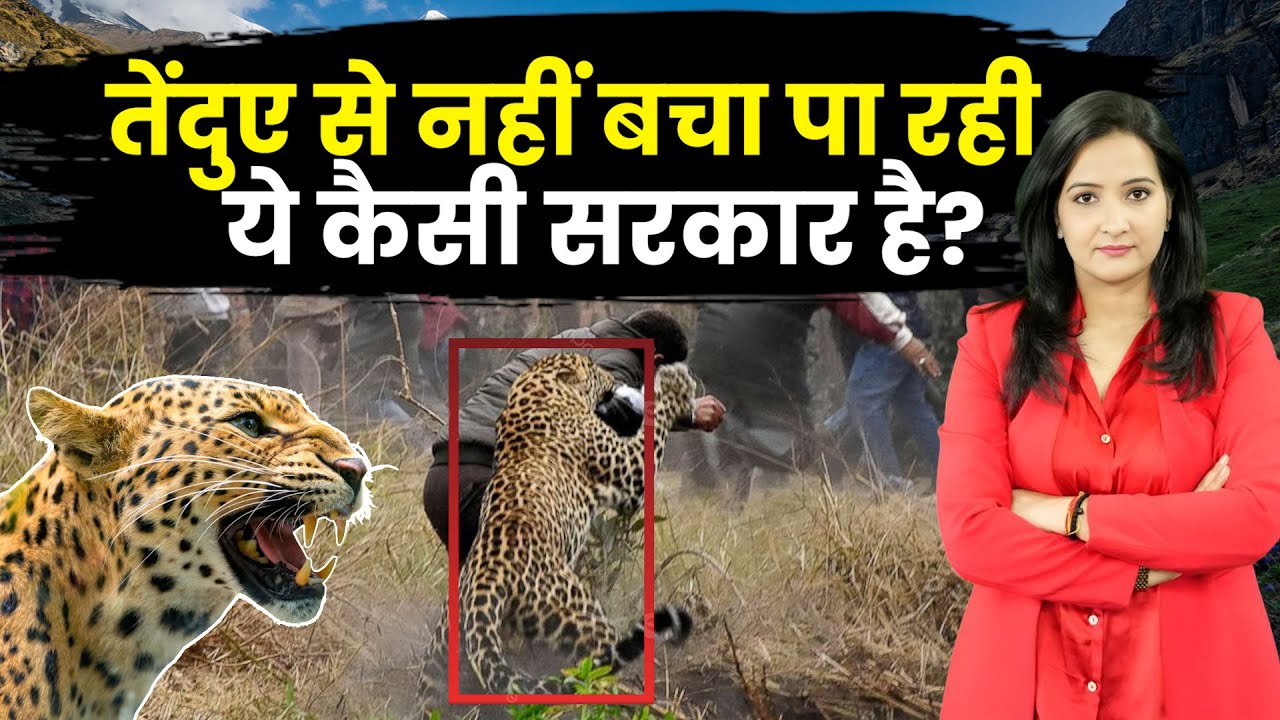 Uttarakhan Ground Report: आखिर पहाड़ में इतने तेंदुए आए कहाँ से?| Leopard Attack In Hills | Dehradun