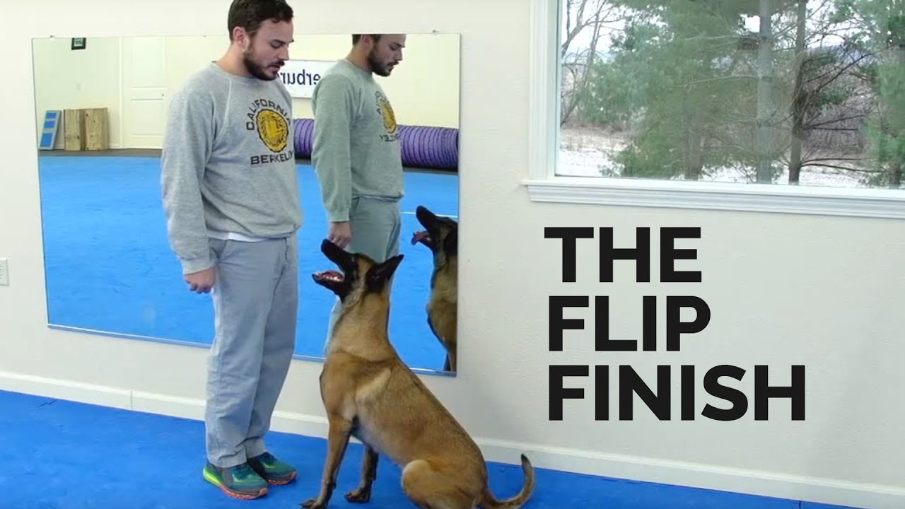 The Flip Finish in Heeling with Forrest Micke