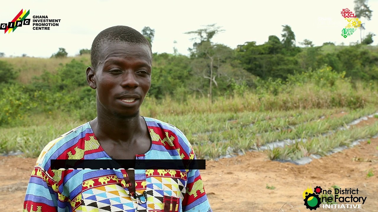 GROW GHANA🇬🇭 - Petersfield & Rey Group Ltd.
