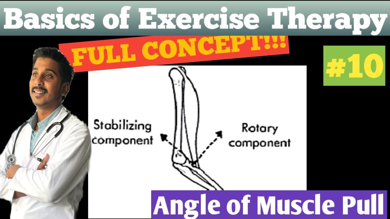 basis of Exercise Therapy|10 | Angle of pull | physiotherapy |