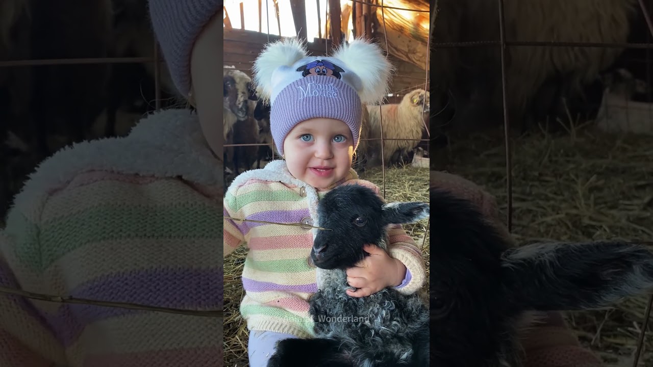 Farm kids#animal#animallover#farm#farmlife#kids #fyp