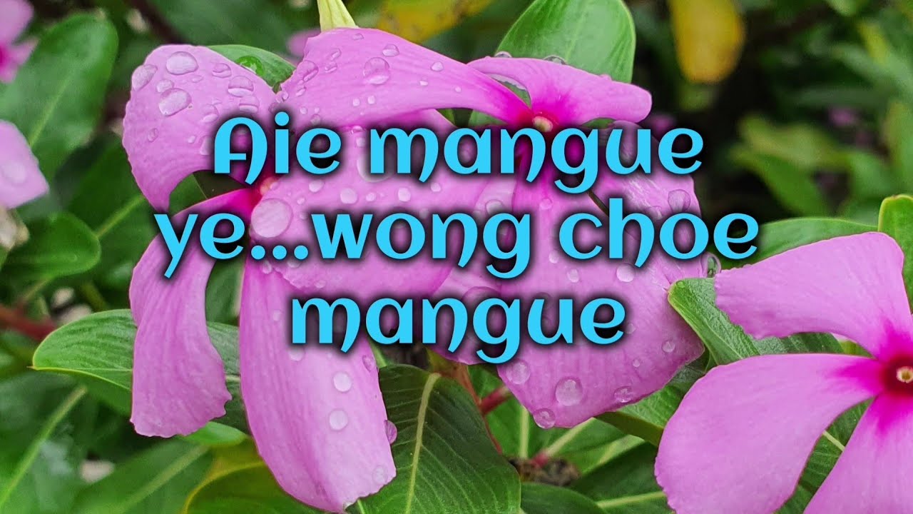 Aie mangue yewong [vocal off] || Dechen Pem || Rinchen Namgay || bhutanese karaoke song with lyrics 