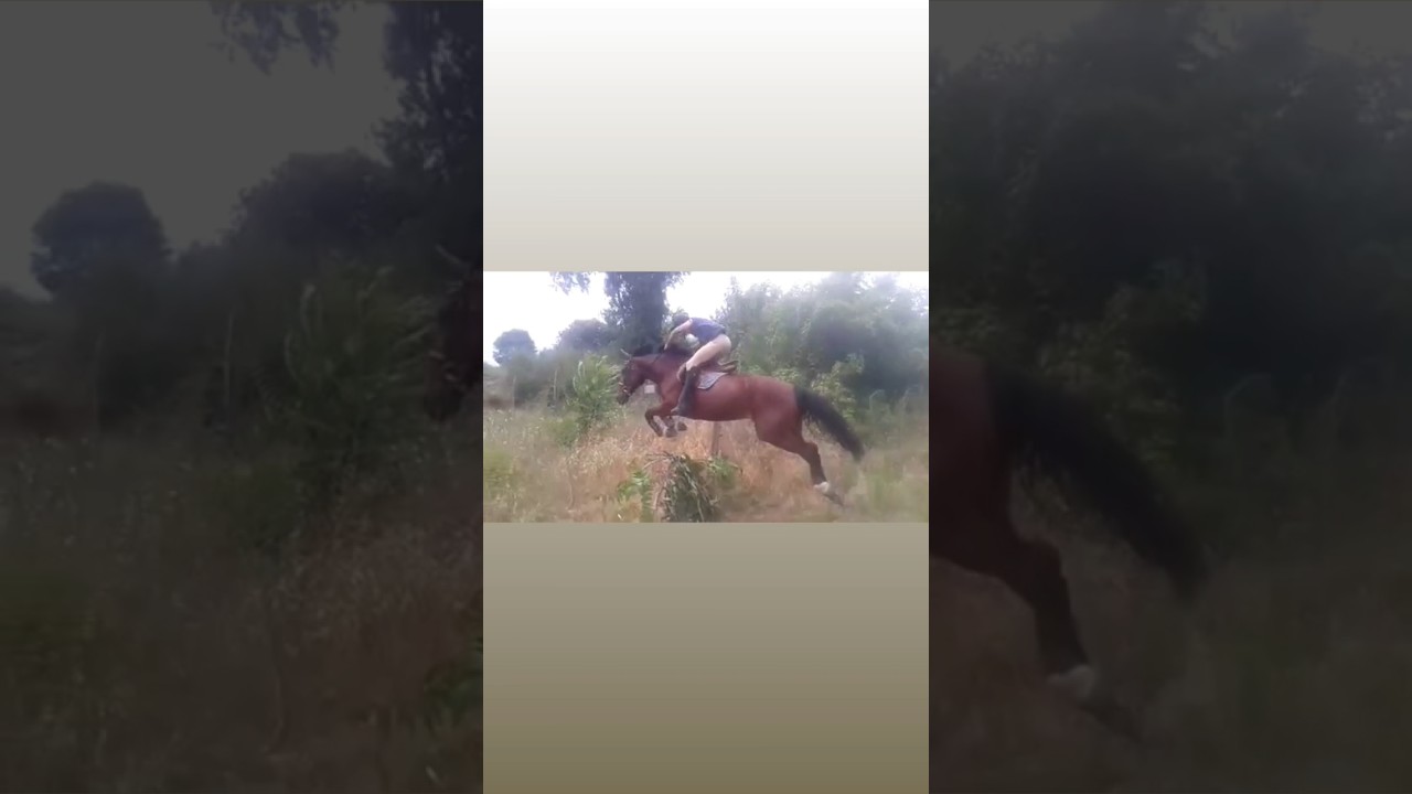 Sophia Cross Jumping