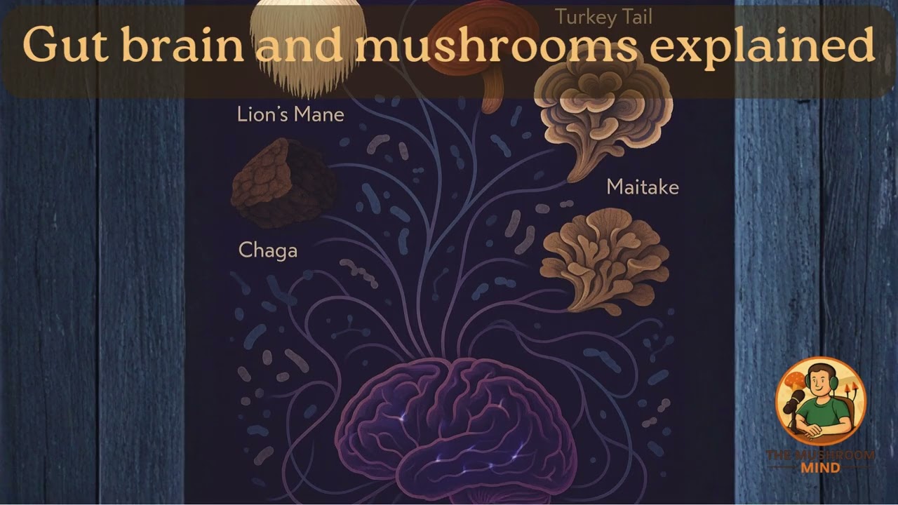 Грибы и ось «кишечник-мозг» 🧠 Здоровье кишечника, настроение и научные данные: объяснение | Подка...