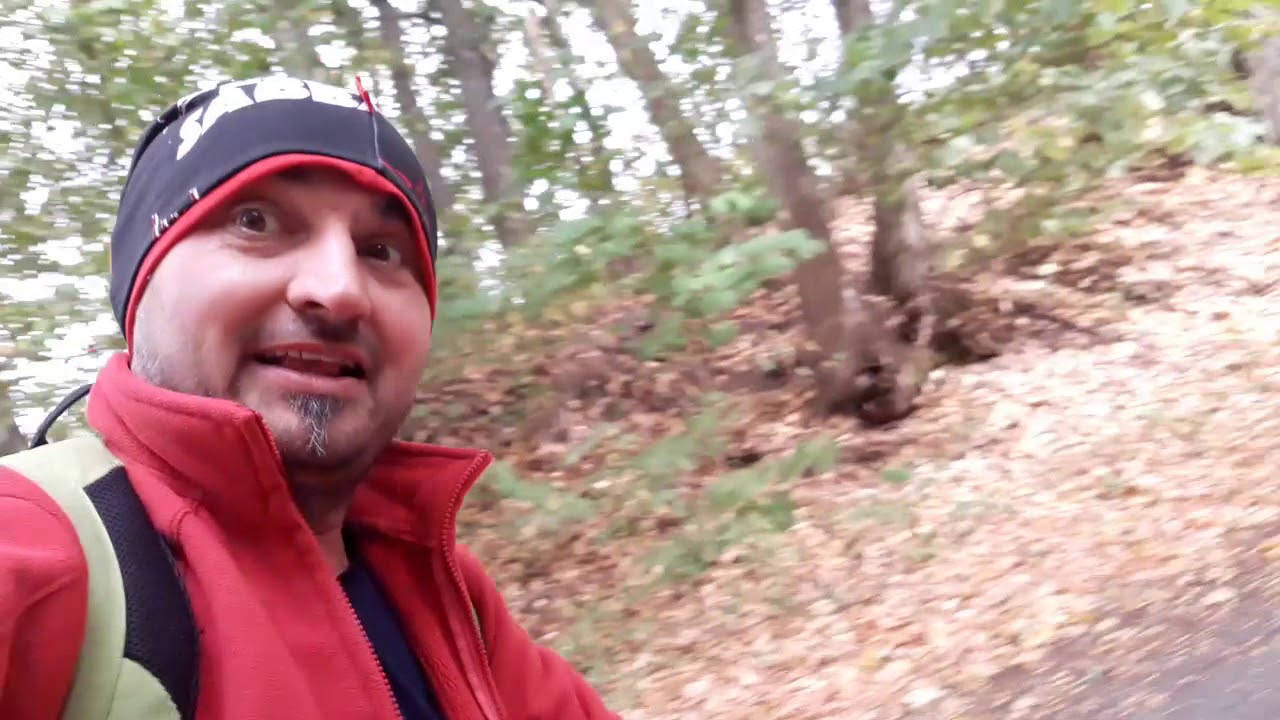FAT SCOOTER KOSTKA MONSTER