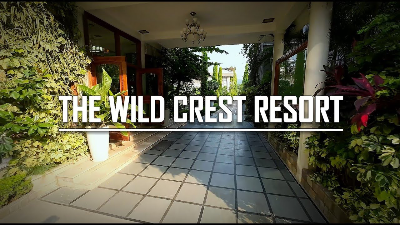 The Wild Crest Resort : JIM CORBETT #jimcorbett #jimcorbettwildlifeandnatureview #resort #arielview