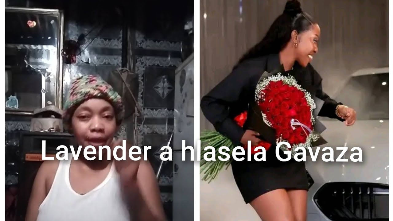 Lavender a hlasela Gavaza