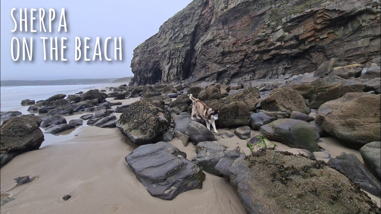 Sherpa Explores the Beaches of Wales