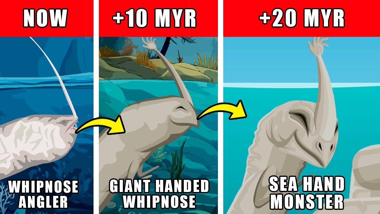 Sea Hand Monster Origin Evolution: How Sea Hand Monster Could Have Evolved