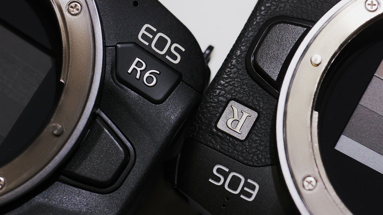 Canon EOS R & EOS R6 描写の違い【どっちが良いのか？】