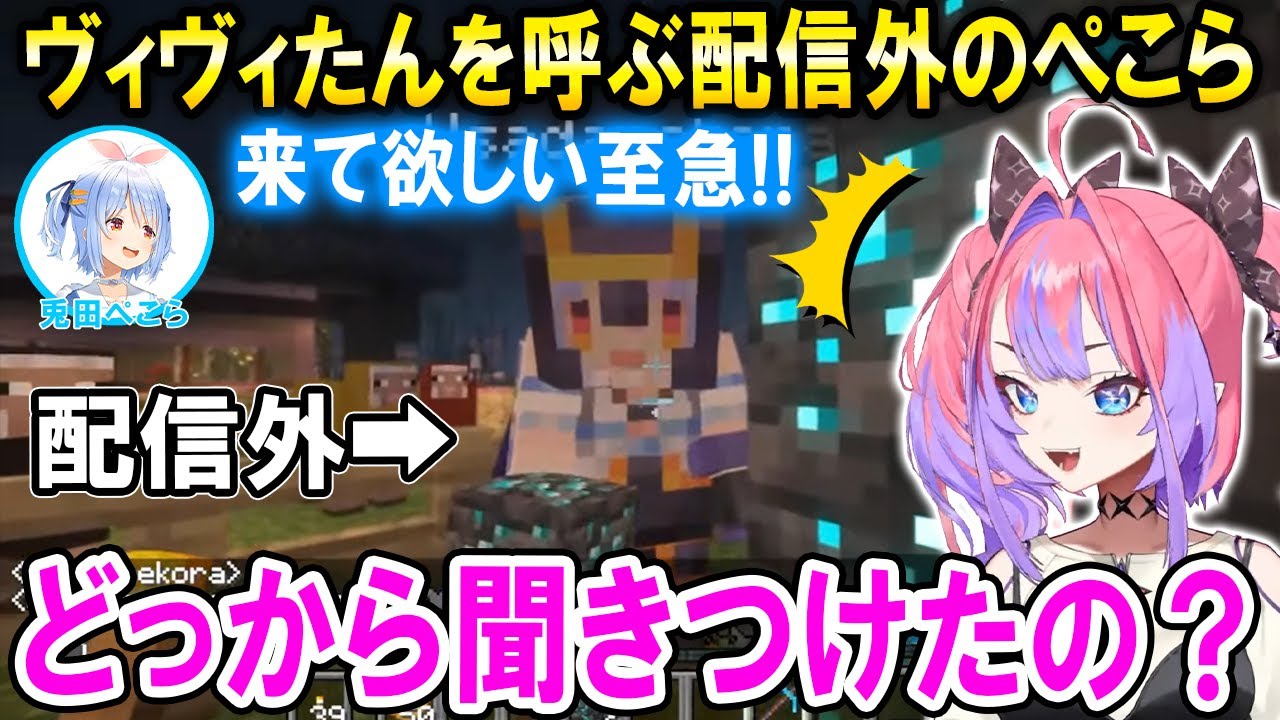 絶妙なタイミングでヴィヴィたんを呼び出す配信外のぺこら先輩【ホロライブ切り抜き/綺々羅々ヴィヴィ】