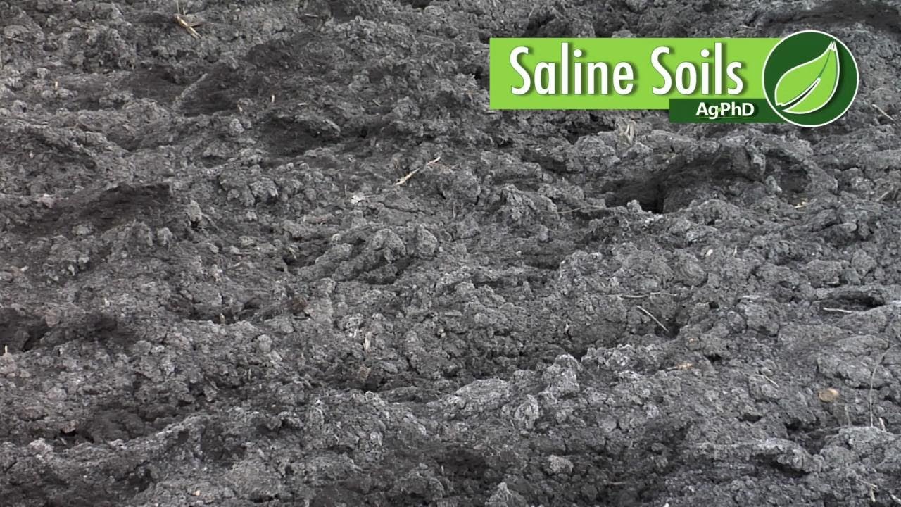 Saline Soils #1034 (Air Date 1-28-18)