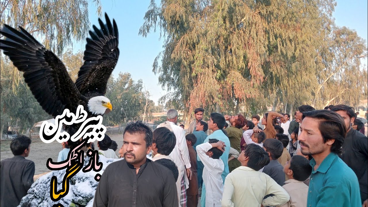 Dharakat main baaz atak gaya logo ne Rescue kr diyaa #baaz 