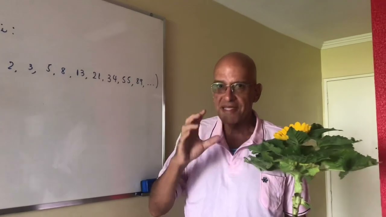 Fibonacci e o Girassol.