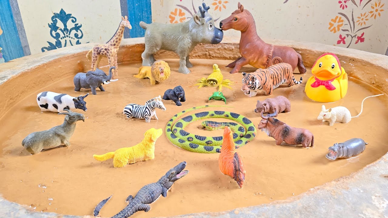 Into the Muddy Wild: The Great Mud Joruney of Farm and Jungle Animals