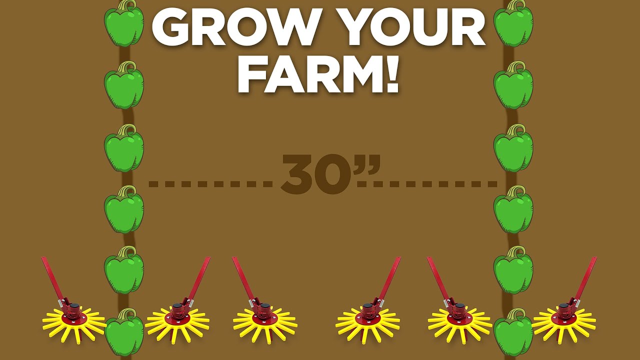 How to Transition to Mechanical Weeding - First Steps