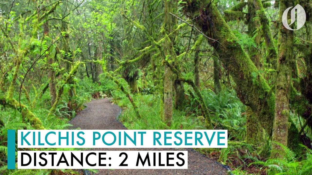 12 Tillamook County hikes