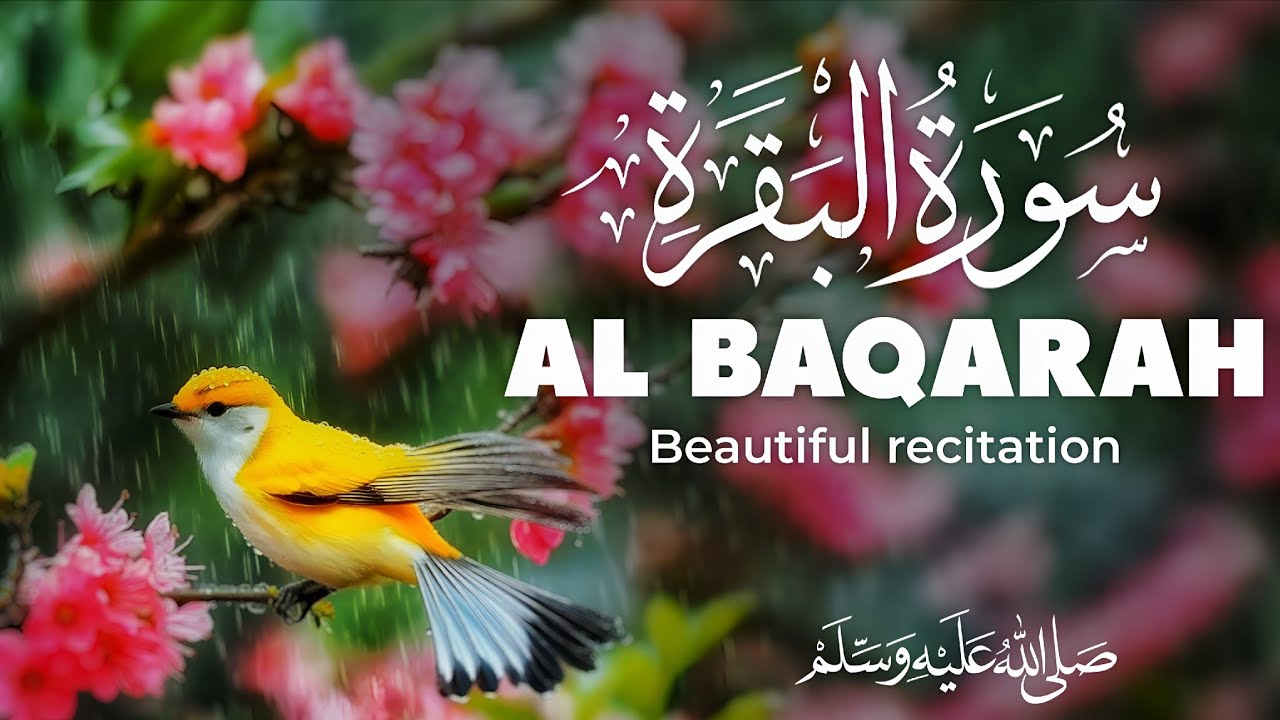 Surah Al-Baqarah Full Recitation | Peaceful Quran Tilawat | Heart Touching Quran