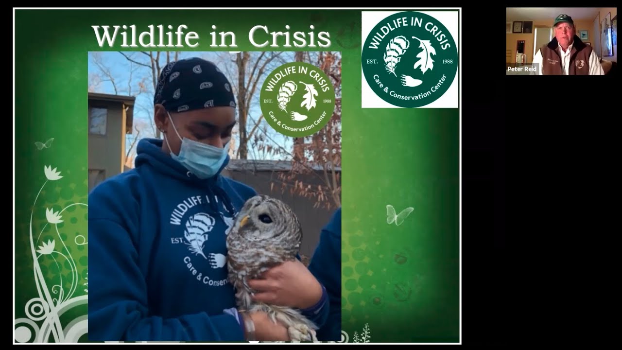 Living Harmoniously with Wildlife - Peter Reid, Wildlife in Crisis