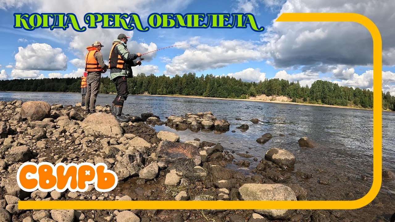 Свирь. Когда река обмелела. Воблер Smith Camion Magnum SSR