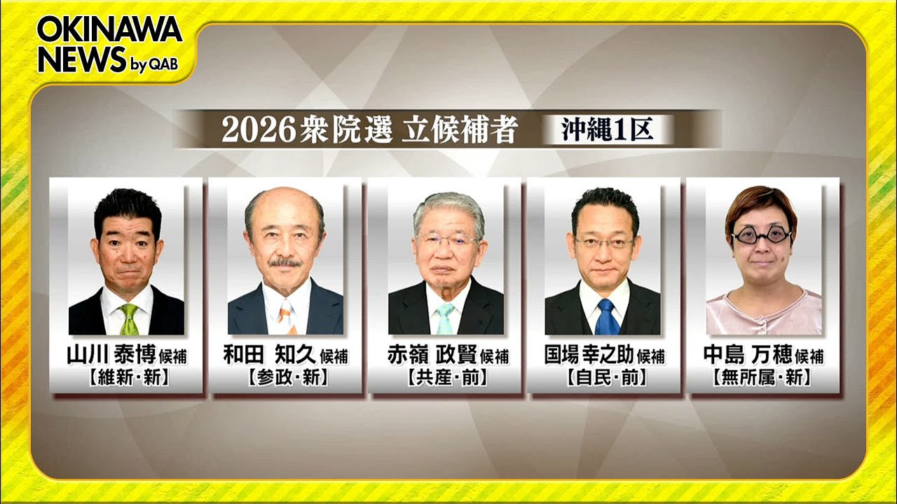 沖縄１区それぞれの訴え