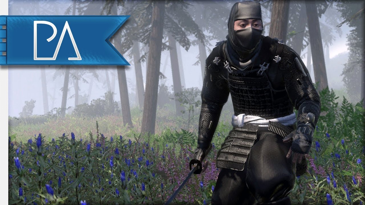 NINJAS FIND THEMSELVES SURROUNDED! - 2v2 - Total War: Shogun 2 Gameplay