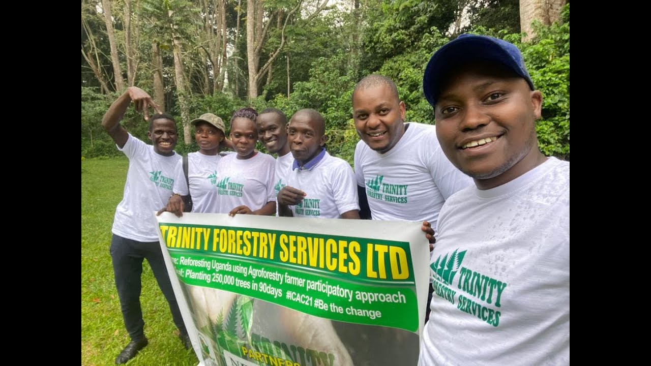 Trinity Forestrys carbon and reforestation project 2022