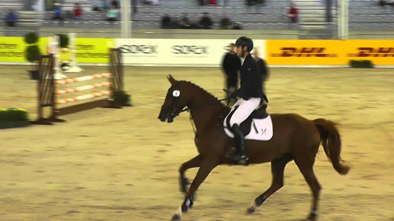 Gavina S11 - Gavi - Chasseur - For Pleasure (Aachen 2015)