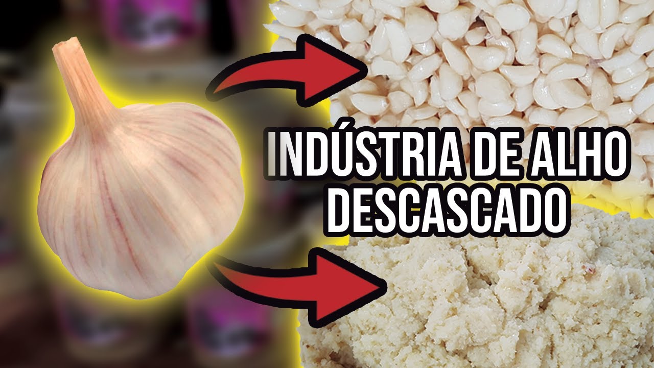 Industria de Alho descascado, triturado, pasta, picado, dentes, micro maquinas e equipamentos AGMAC