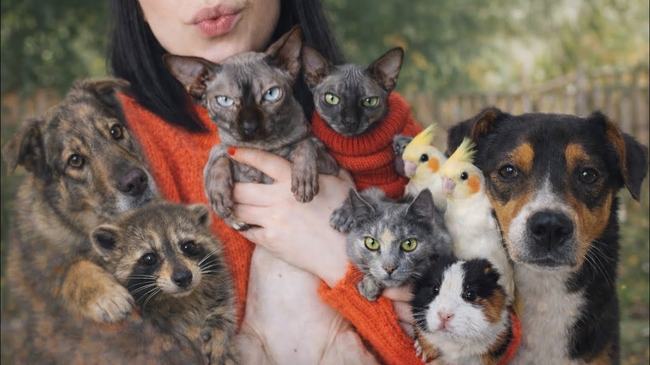 Знакомьтесь заново с моей семьёй 🐾