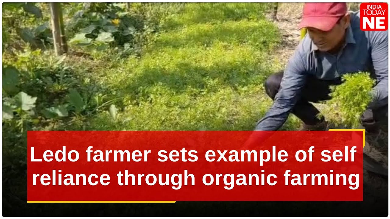 Assam: Ledo farmer Bilayet Hussain sets example of self-reliance through organic farming