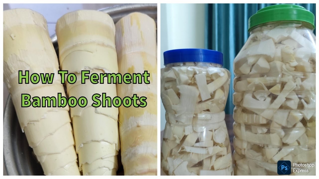 How To Ferment Bamboo Shoot | Fast And Easy Process | #bambooshoot  Preservation | Nagaland Foodie