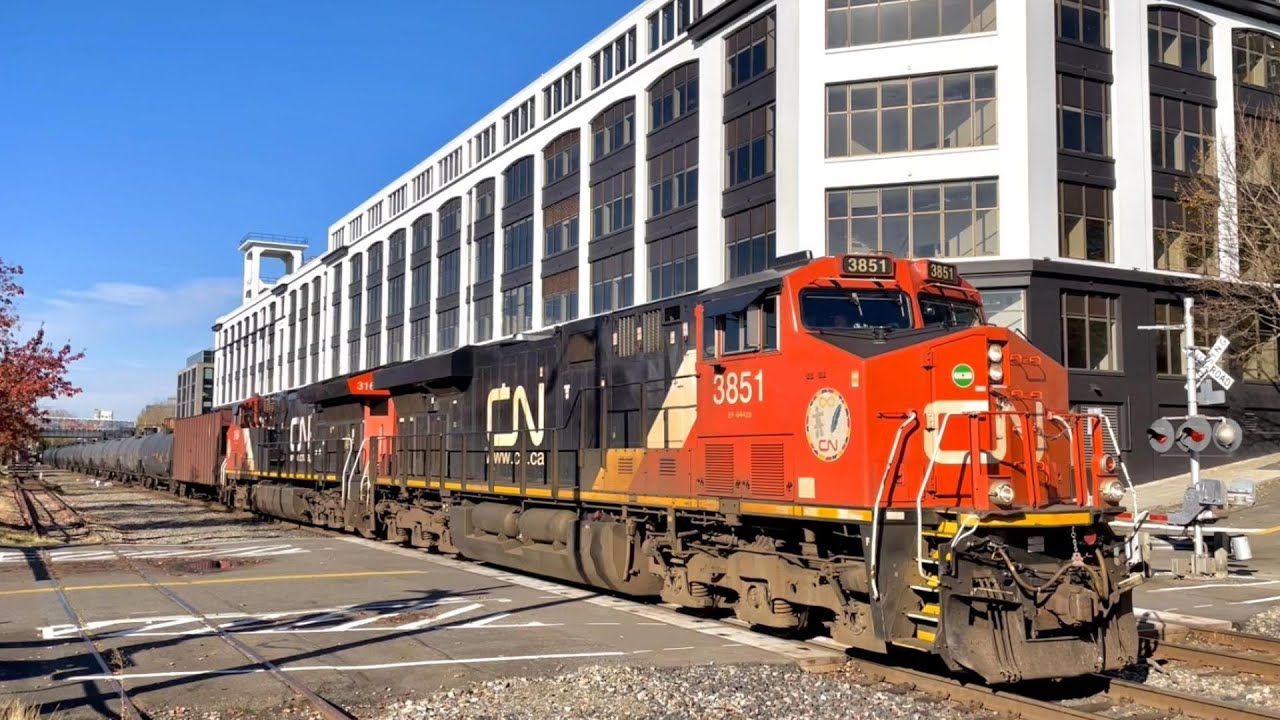 BNSF and Sounder Trains in Seattle, WA; (November 7th, 2024)