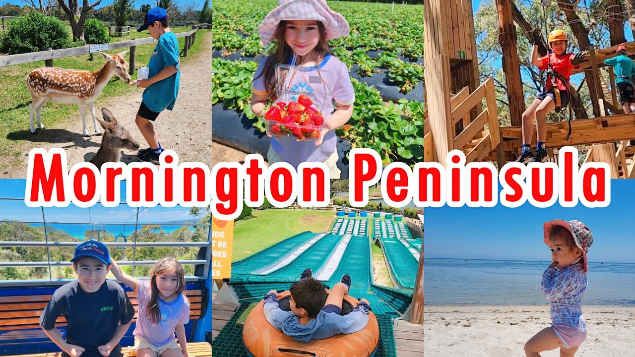 Mornington Peninsula Vic | Best Activities For Kids & Families | Travel With Ryan & Claire