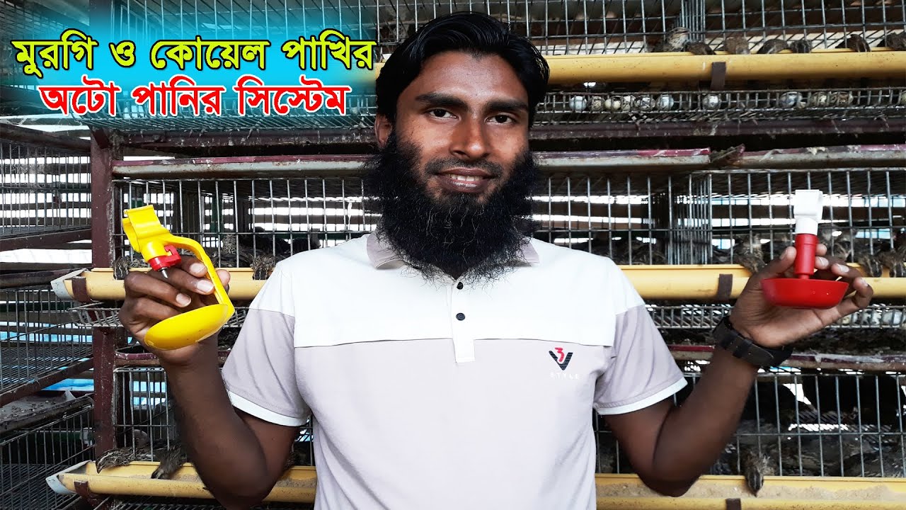 মুরগি, কোয়েল, কবুতর কিংবা পাখির অটোমেটিক পানির পাত্র ।। 01988883103 ।। Cup Drinker ।। Nipple Drinker
