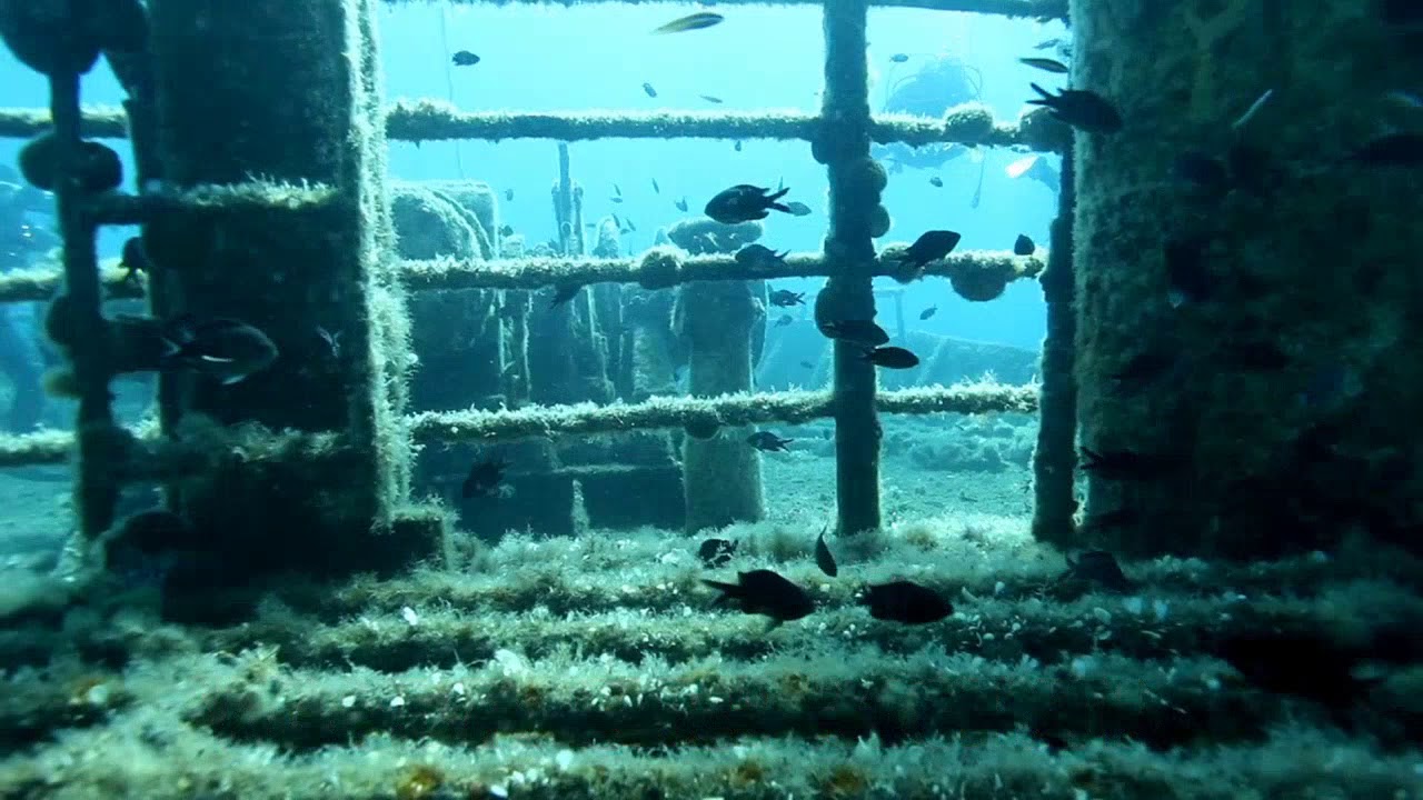Get Your Advanced SCUBA DIving Certification!