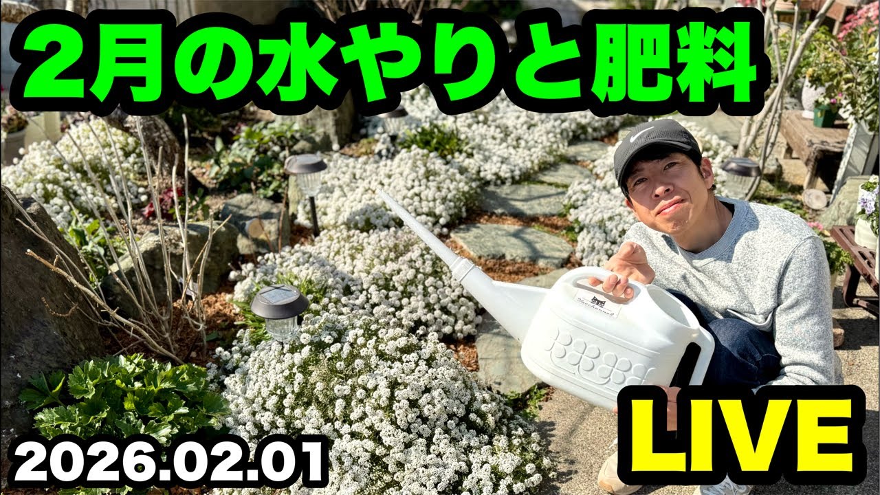 ◆週に一度の【液体肥料の日】
