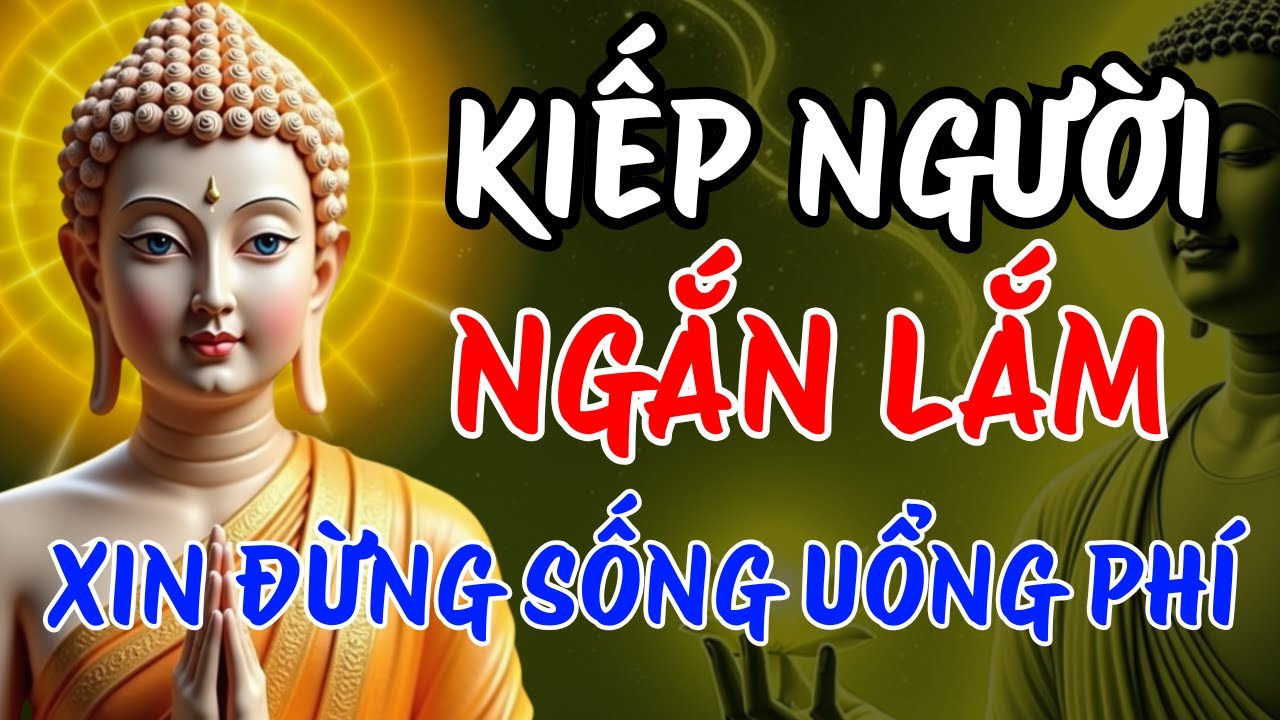 Lời Phật Dạy Thức Tỉnh Tâm Hồn: Đừng Để Kiếp Người Trôi Qua Uổng Phí