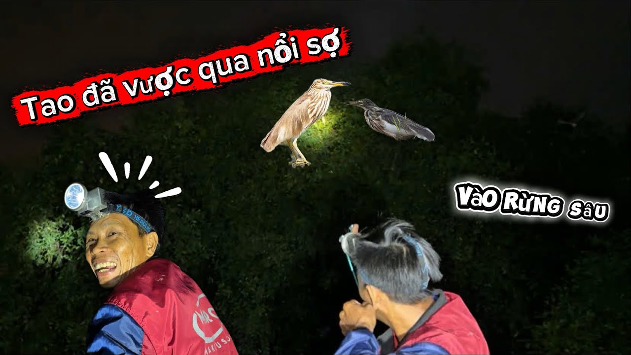 Chuyến đi săn đêm ….cậu mình đã vượt qua được nỗi sợ…?