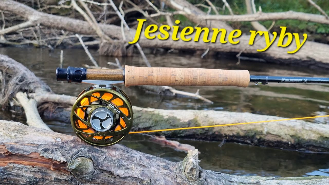 Wędkarstwo muchowe.Jesienne ryby