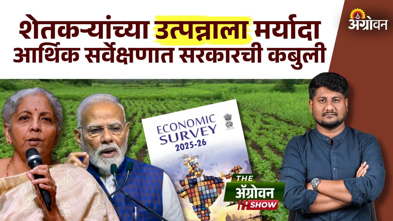 Economic Survey 2025 : शेती विकास दर घटला; आर्थिक सर्वेक्षणात आव्हानांवर भर| Agrowon
