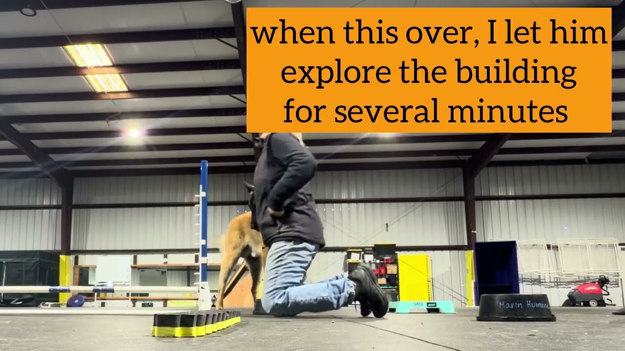 Xen - fitness for arousal with acclimating action, posture sit, fitness and free time. 